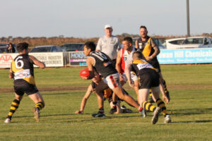 Grand final rematch to test undefeated Blues