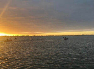 Bank to Bank promises a ripper day of swimming and running