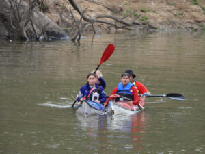 Paddle hits the water