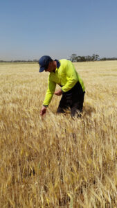 Record heat punishes crops