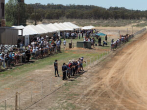 Racing club on track for major upgrade