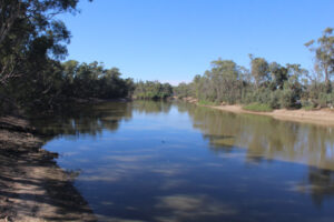 Join basin plan voices, says council