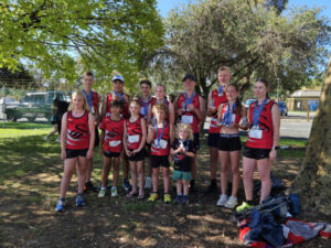 Little Aths shine on road trip
