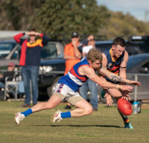 Dogs’ bite hurts Raiders