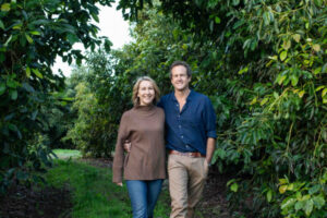 Avos on the up and up