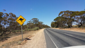Name and shame our neglected roads