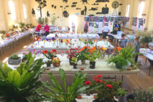 Wilting support claims flower show