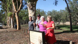 Pleas to save historic trees