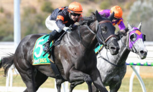 Coffey & Co Scandalous success