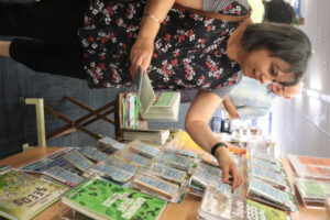 Seedlings ready to grow