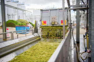 Wine industry looks to slash emissions