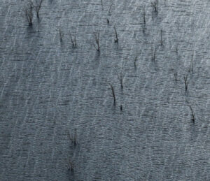 Paddock Run flood initiative nominated for Local Government award