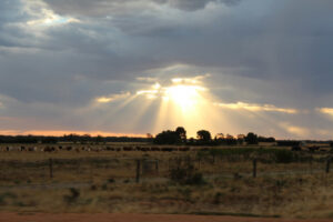 Solar farm in planning