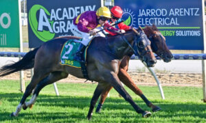 Super effort breaks drought