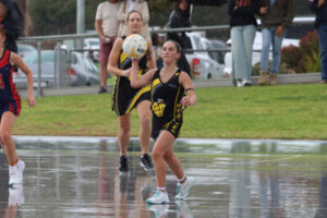 Swans out to spoil Tigers’ party