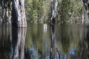 Emergency app updated to include flood warnings