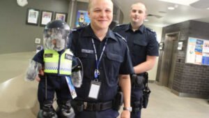 Teddy bear on the beat