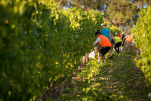 Coles and unions back push for improved worker housing