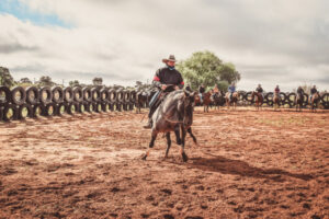 Learning to cutfrom the herd