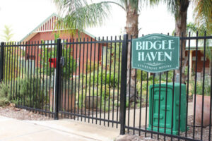 Aged care expansion ‘not viable’