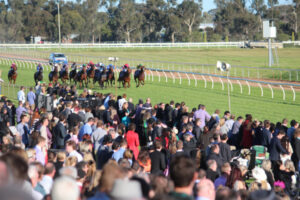 Carnival best in state