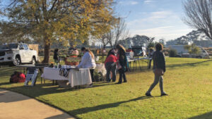 Inner Wheel strikes right chord