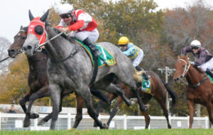 Crazy times with Sheriff in town