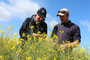 Finding new ways to manage weeds