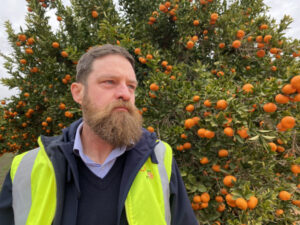 Labour, housing action needed