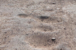 Residents fighting to fix their roads