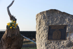 Effects far-reaching