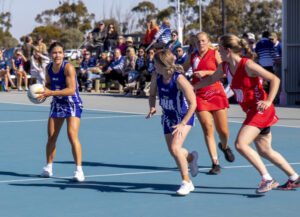 Blues best too good for Tigers