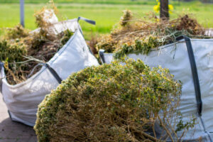 Free green waste disposal at tips