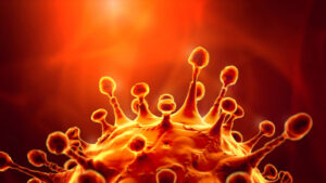 Crisis spike as new case confirmed in Swan Hill LGA