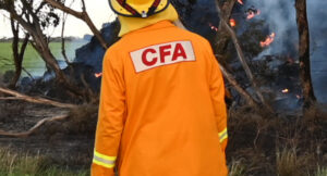 Bushfire at state forest