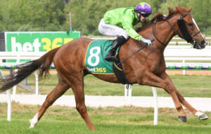 Kyneton Cup first for Coffey