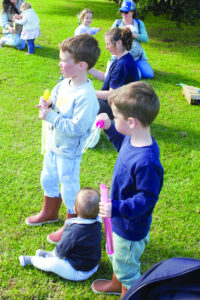 Seedlings spark interest