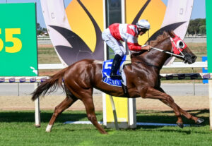 Swan Hill trainers pull out all the stops on the track