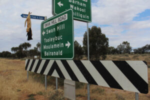 Cat cull barbaric: RSCPA