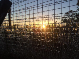 Region a little frosty