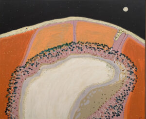 Our world from the air