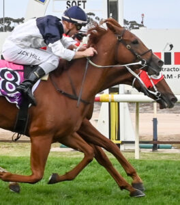 Pill Box just the remedy