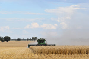 Crops, farmers resilient