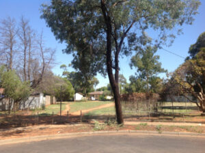 Councillor blasts colleagues