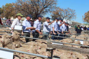 Bumper sales start spring