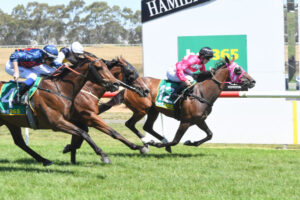 Swan Hill horse finally breaks through after gem ride