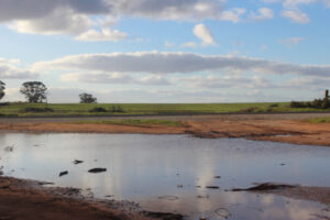 Double delight with yearly rainfall above long-term average