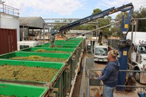 Don’t put cork in wine tourism: MP