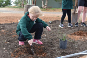 School’s bush tucker garden