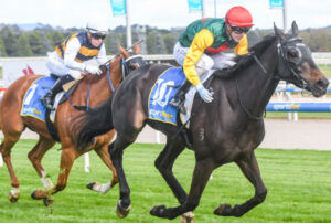 Swan Hill jockey Harry Coffey wins with Wonder